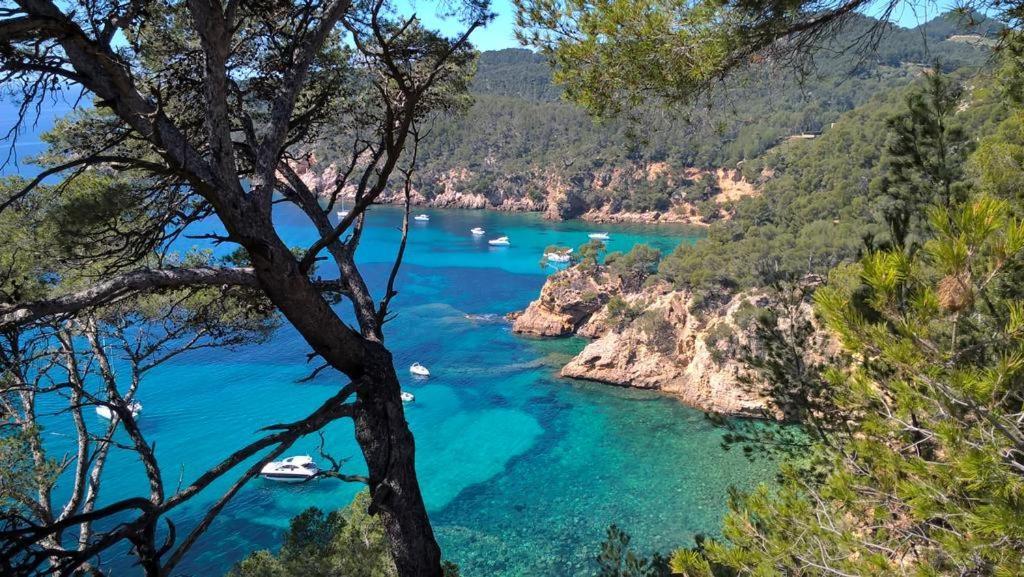 T2 Bandol Ideal Vacances 2 Etoiles Экстерьер фото